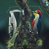 Stainless Steel Wine Bottle Corkscrew